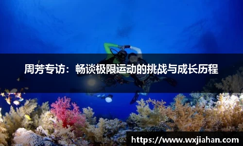 芒果体育APP